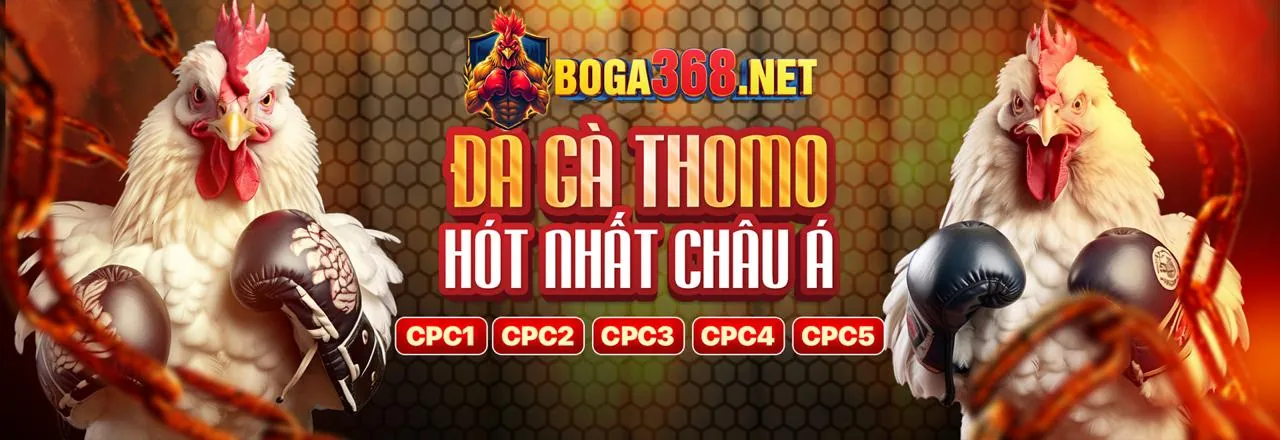 Quản lý vốn hiệu quả khi chơi Slot Machine tại VIN77 Nhà Cái