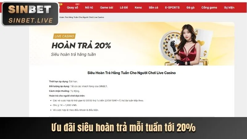 Hướng dẫn cá cược thể thao cho người mới tại Vin77
